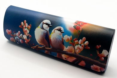 Футляр для окулярів з серветкою  R-H8006-5C birds blue